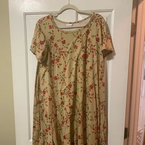 Lularoe Carly Sz xl